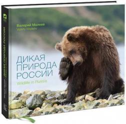 Купить Дикая природа России Валерий Малеев