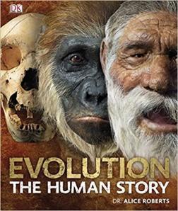 Купити Evolution. The Human Story (hardcover) Еліс Робертс