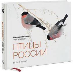 Купить Птицы России Валерий Малеев