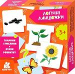 Купить Логічні ланцюжки. Тварини і рослини. Етапи розвитку Коллектив авторов